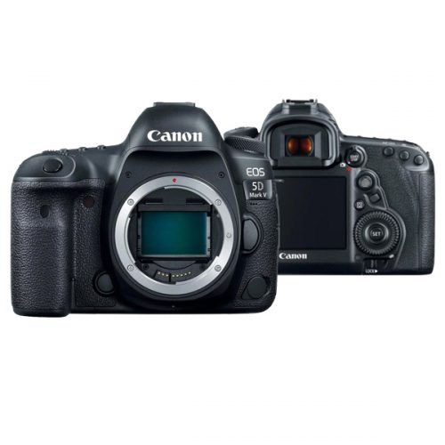 Canon EOS 5D Mark V (Chính Hãng) #2